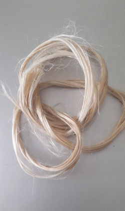 0c8a6e37-293e-47d5-94d6-621a8a0e2277