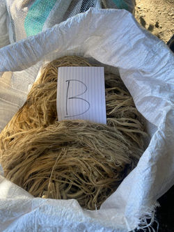 1fdd9805-02da-448d-8fce-6a9ca9322472