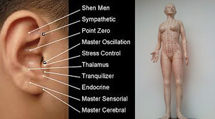 acupuncture-point.jpg