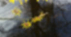 HEADER_NEU.jpg