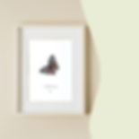 July Birth Month Butterfly