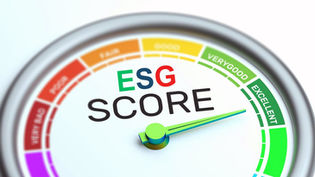 ESG Score Rating Agencies: Key Organizations and Their Impact