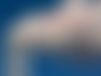 S&P Global Analysis: Only 45% of Top US Companies Set for Net Zero Commitments by 2050