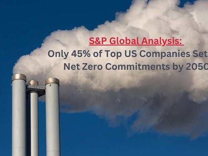 S&P Global Analysis: Only 45% of Top US Companies Set for Net Zero Commitments by 2050