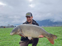 IMG-20260416-WA0008