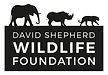 DSWF-LOGO-blackCMYK.jpg