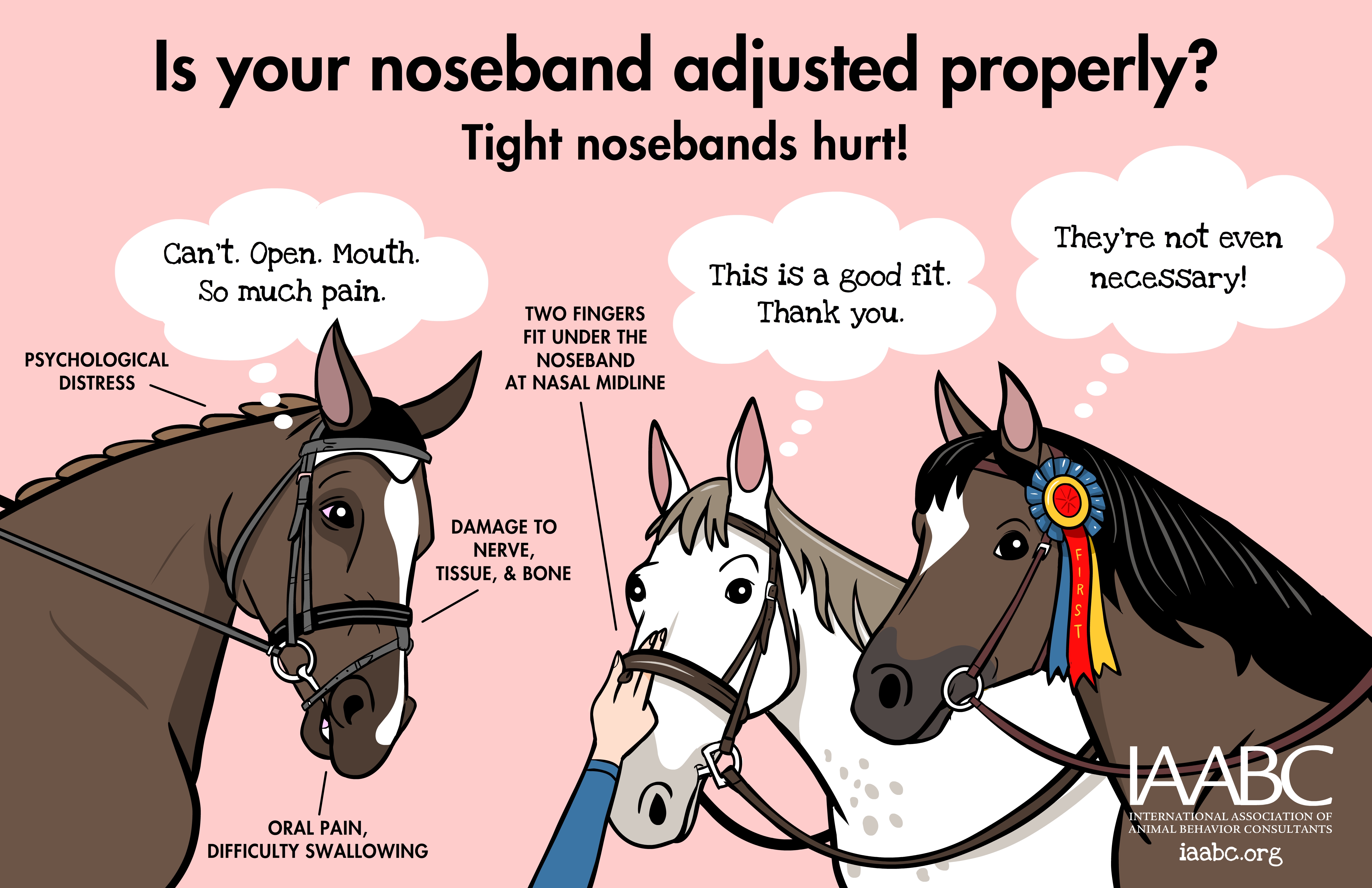 Horse Nosebands