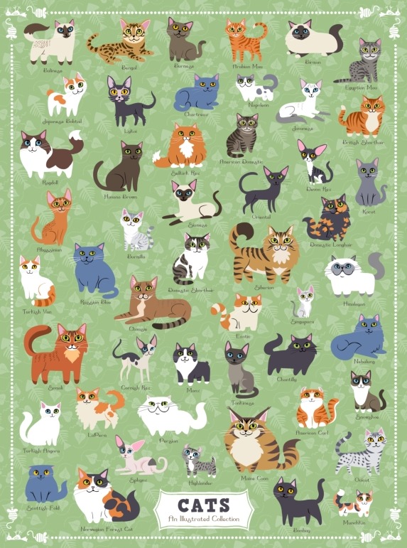CATS jigsaw puzzle