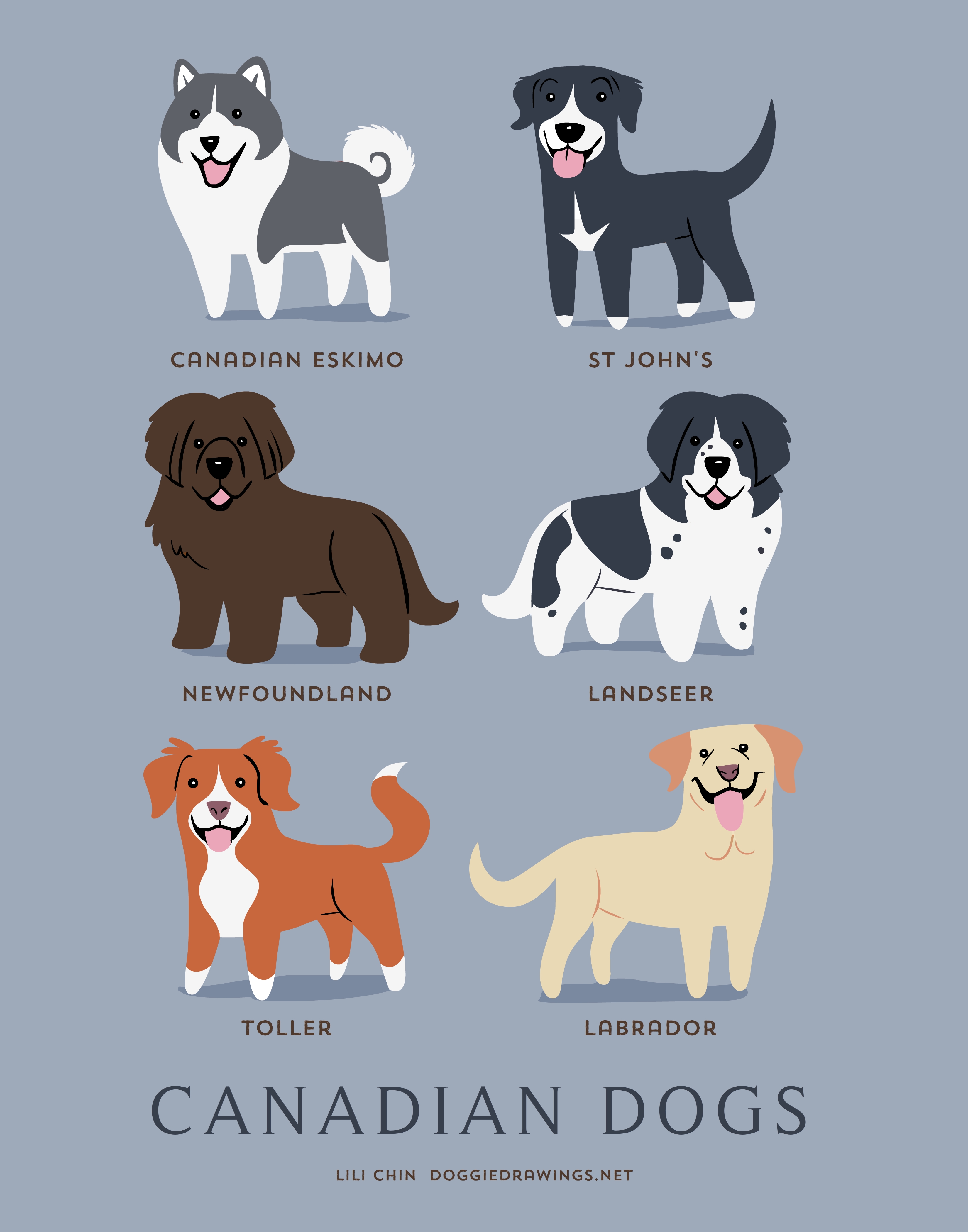 Doggie Drawings Dogs Of The World Dog Breeds