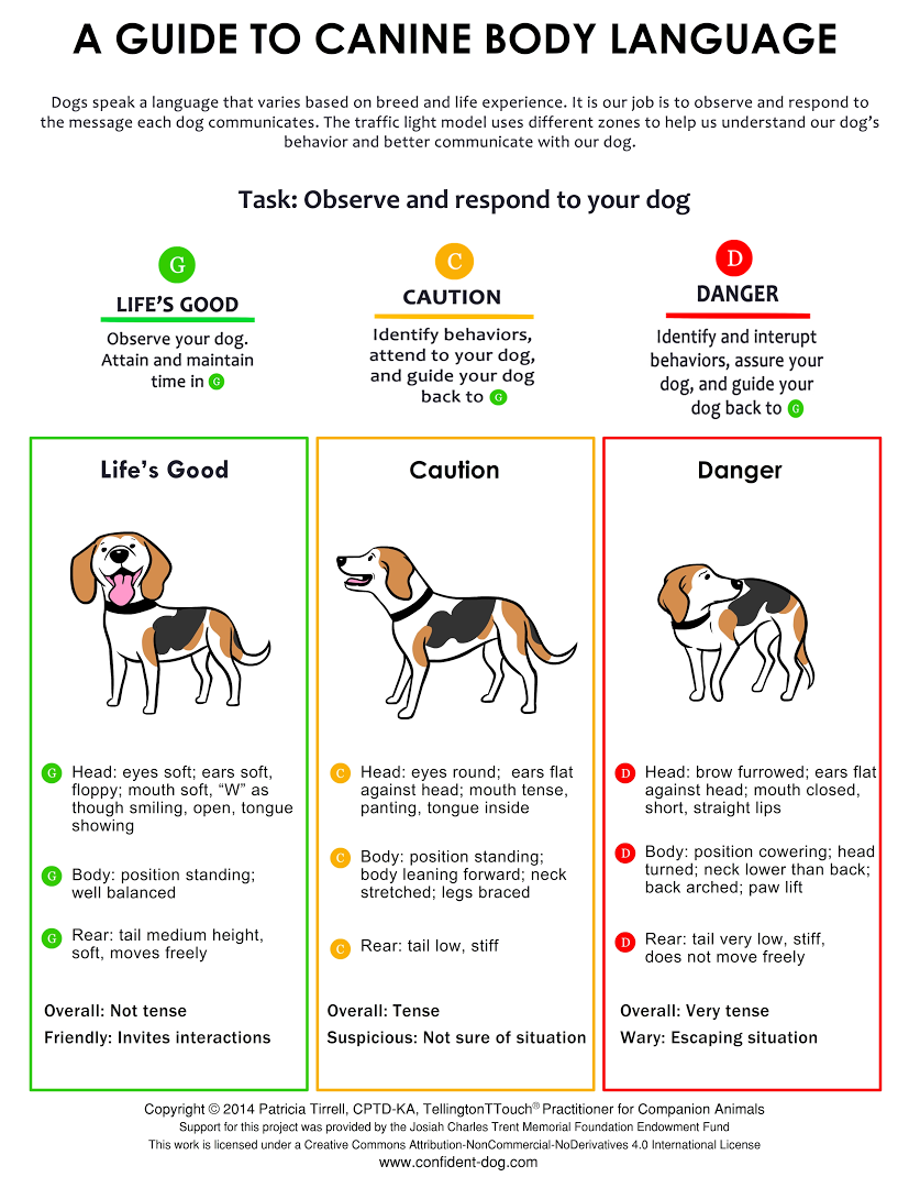 Canine Body Language Chart