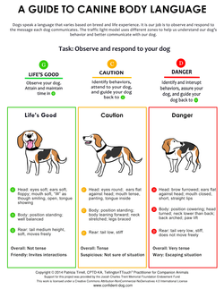 picture Lili Chin Doggie Language doggie drawings infographics