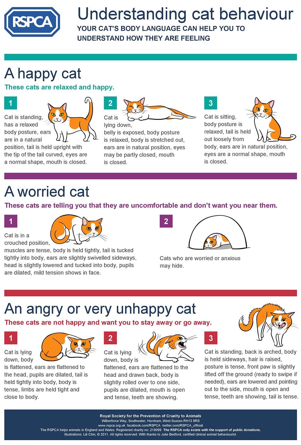 UnderstandingCatBehaviour.jpg