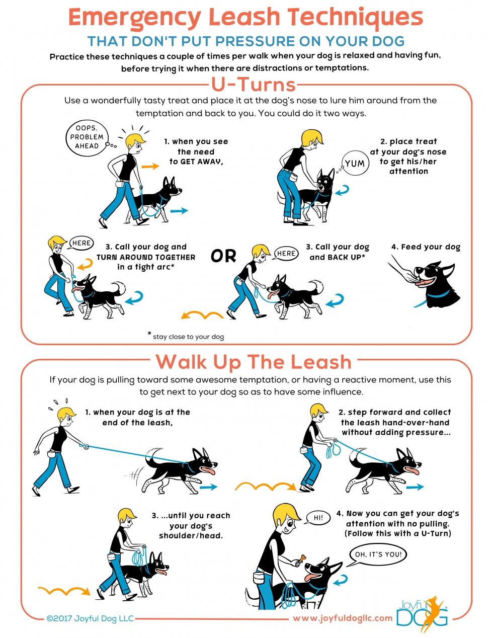 Emergency Leash Techniques