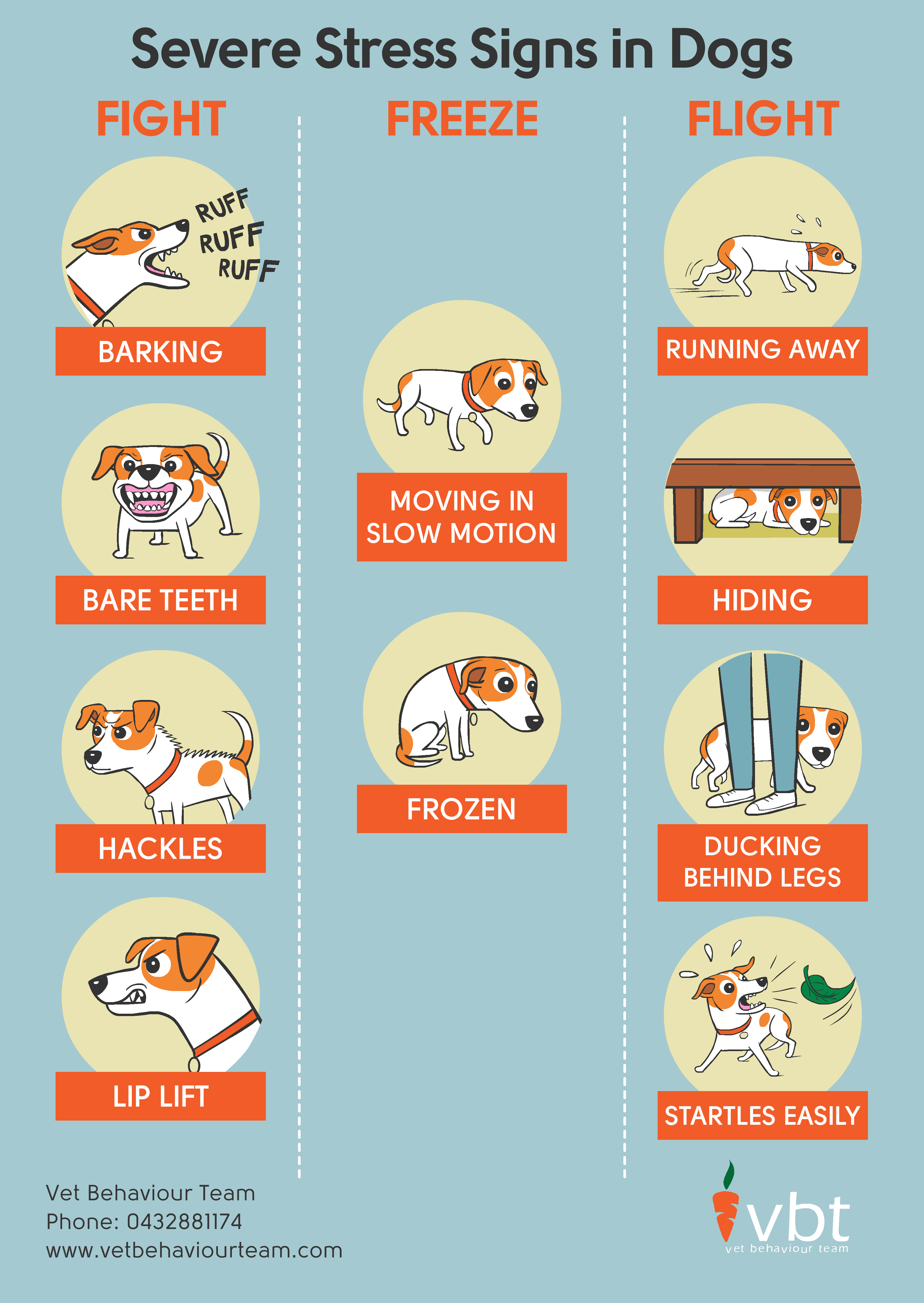 ©VET BEHAVIOUR TEAM