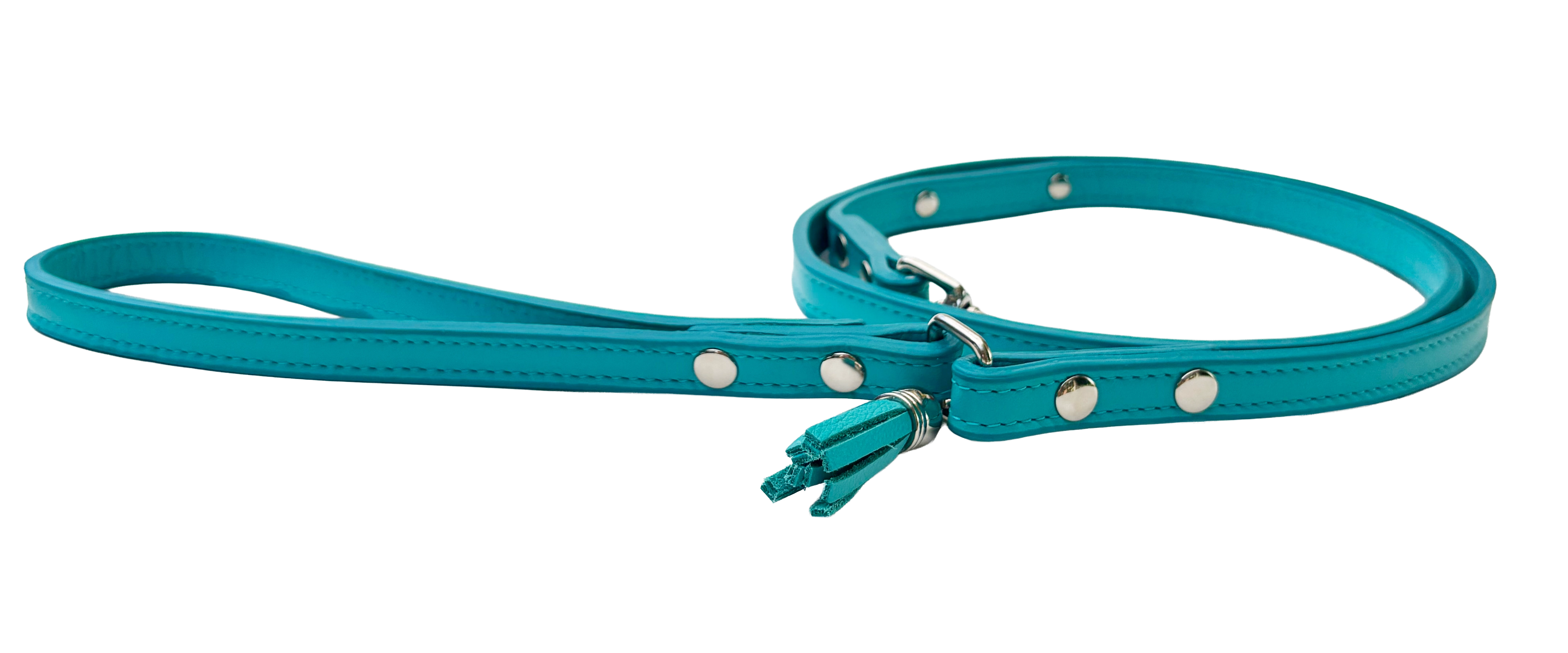 Luscious Dolphin Blue Leash