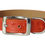 Thumbnail: Ostrich Collar Orange