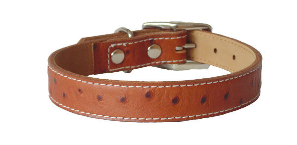 Thumbnail: Ostrich Collar Brown