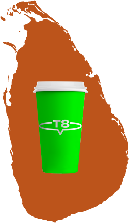 origen de té