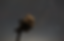 ODINwithStars.png