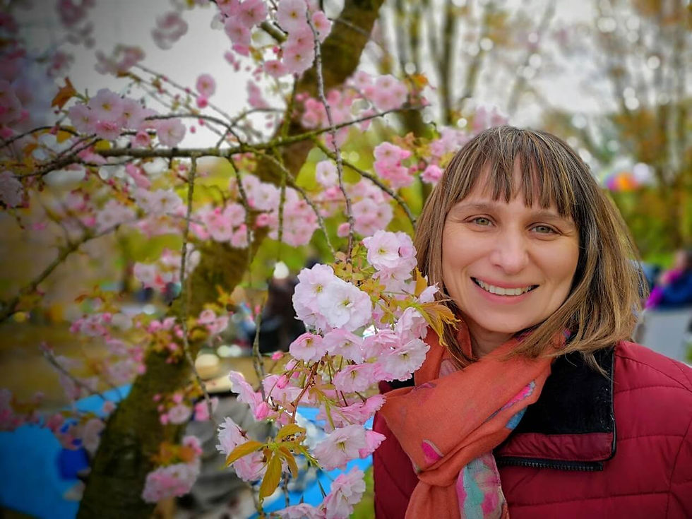 Inspirational English exploring cherry blossoms