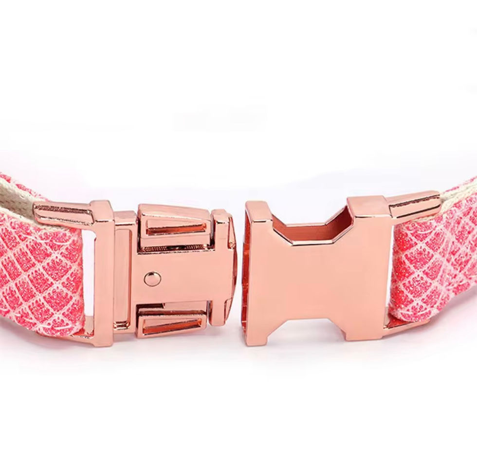Thumbnail: Fancy Dog Collar