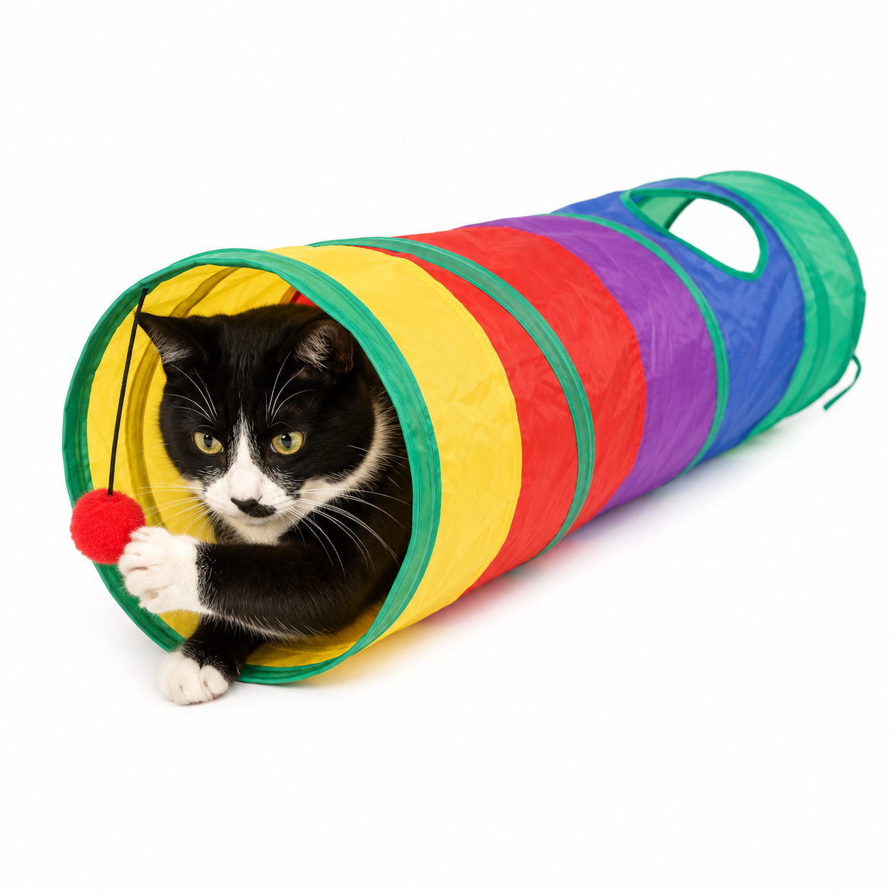 Tube Cat Tunnel