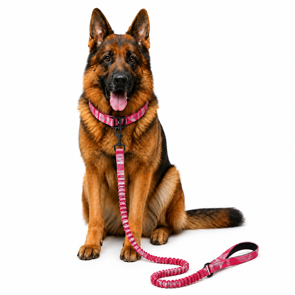 Thumbnail: Heavy duty nylon control handle leash