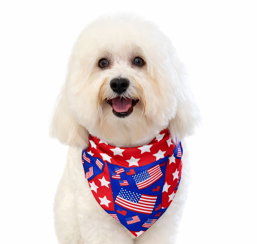 Thumbnail: American Flag Bandanna