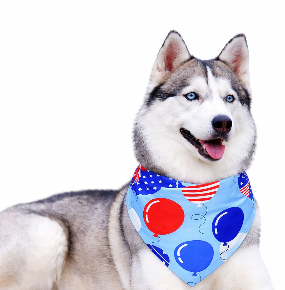 Thumbnail: American Flag Bandanna
