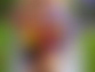 Open gard i samarbeid med Kvinnherad frivillighetssentral