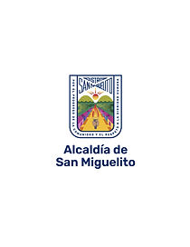 asm-escudo.jpg