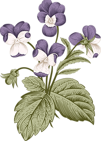 Botany