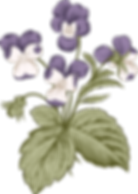 Botany