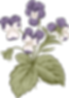 Botany