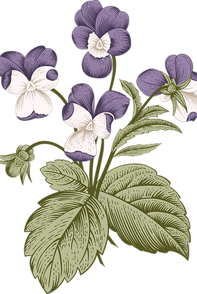 Botany