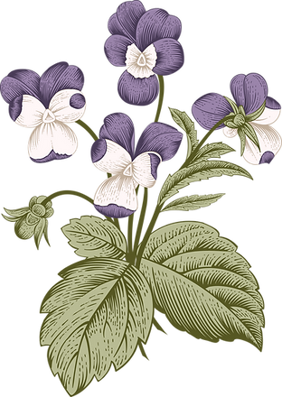 Botany