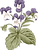 Botany