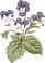 植物学