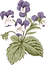 Botany