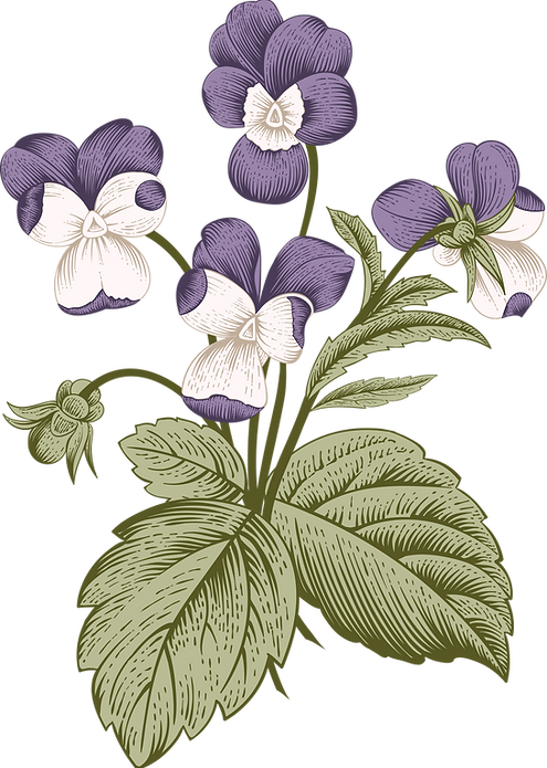 Botany