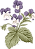 식물학