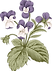 Illustrated drawing of purple pansies