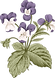 植物学