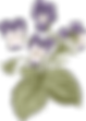 植物学