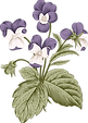 Botany