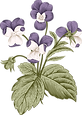 植物学