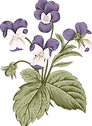 Botanika