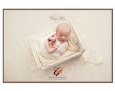 Award-winning baby portrait in cream wrap curled in basket – Hertfordshire newborn photographer Olivia Christina.