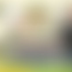 天氣特報112/08/11 午後天氣不穩定，山區嚴防較大雨勢