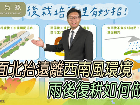 天氣特報112/06/16 鋒面北抬遠離西南風環境,雨後栽培管理有妙招!